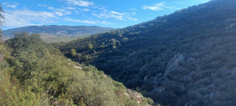  à vendre duplex Los Navalucillos Jara (La) 20