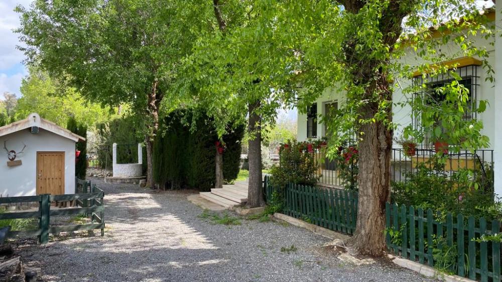  à vendre villa Baena Campiña De Baena 7