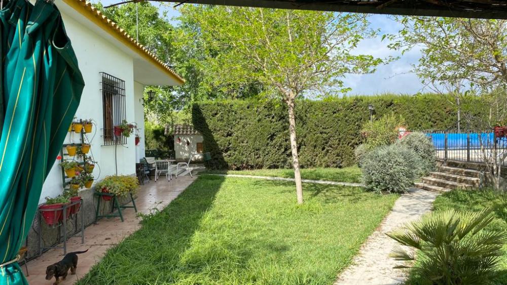  à vendre villa Baena Campiña De Baena 11