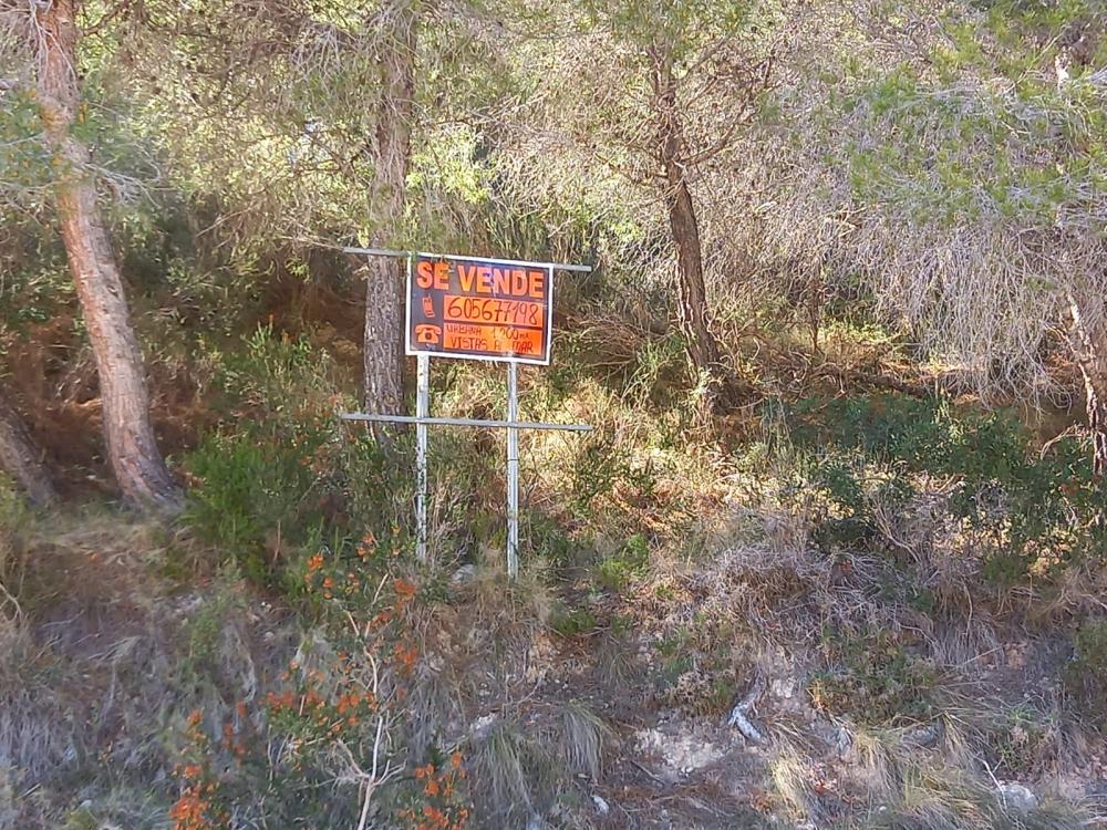  à vendre terrain Sierra De Altea Marina Baixa 9