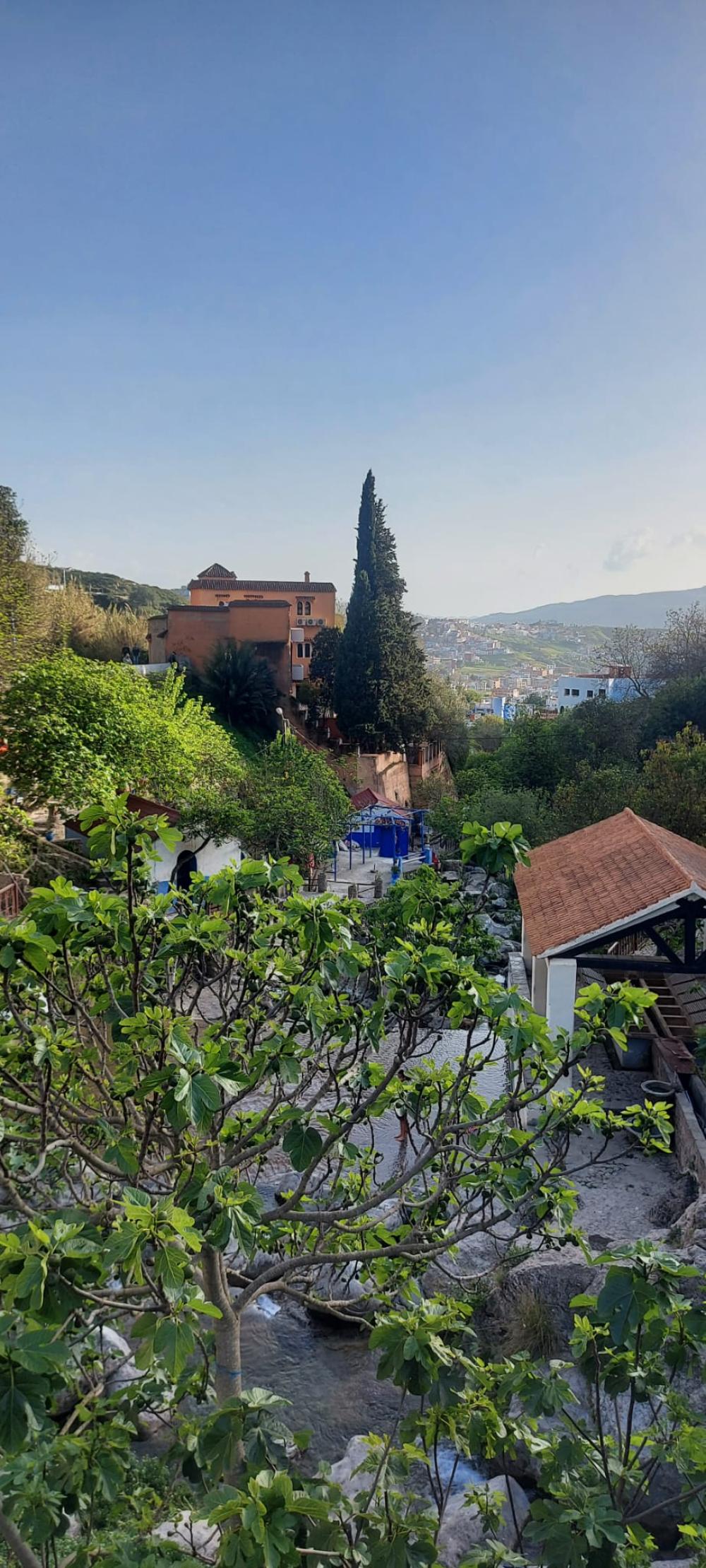  à vendre duplex Los Navalucillos Jara (La) 17
