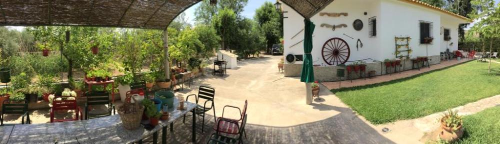  à vendre villa Baena Campiña De Baena 2