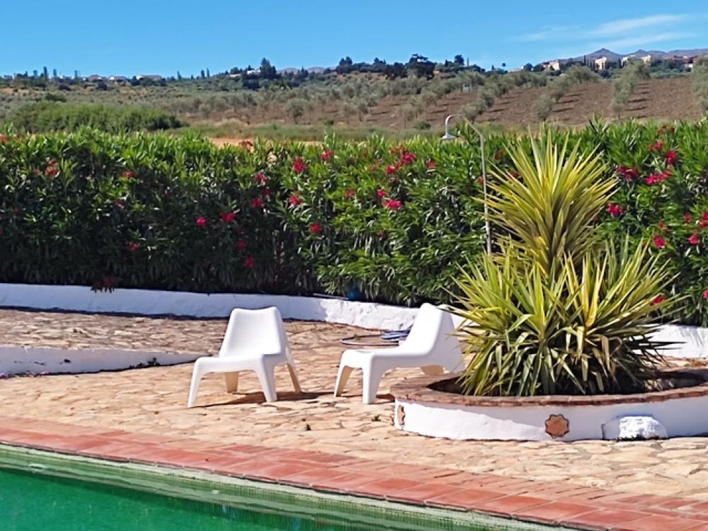  à vendre hôtel Ronda Serranía De Ronda 26