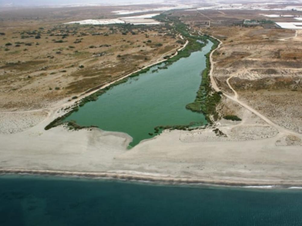  à vendre terrain Cabo De Gata Comarca Metropolitana De Almería 3