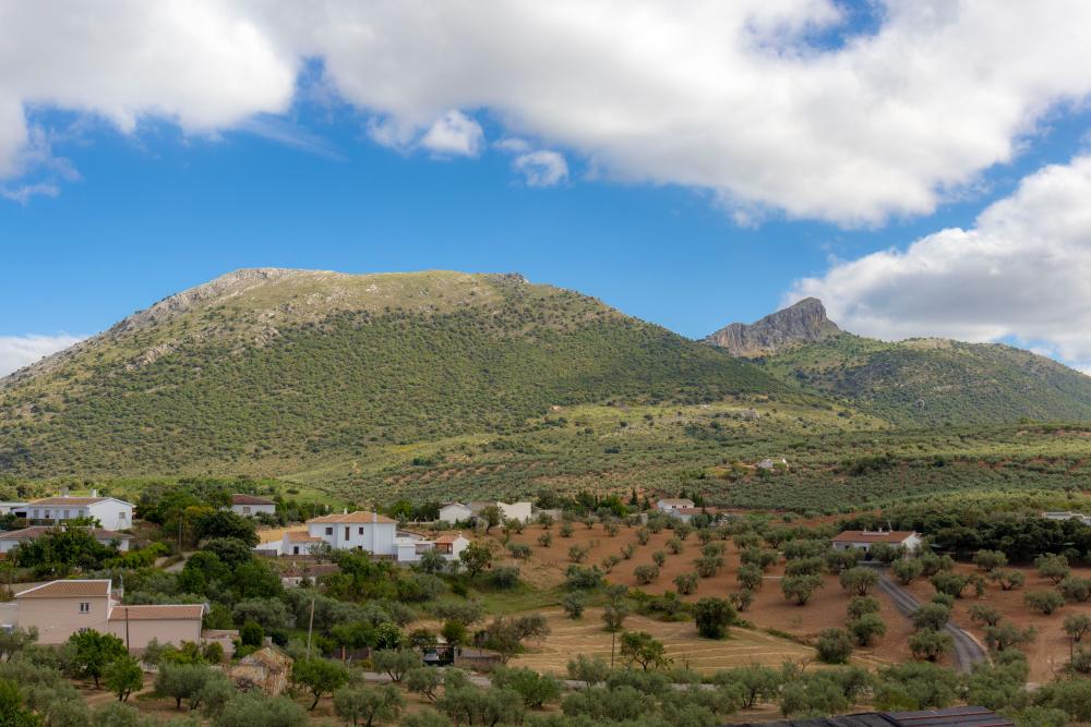  à vendre villa Fuente Camacho Loja 8