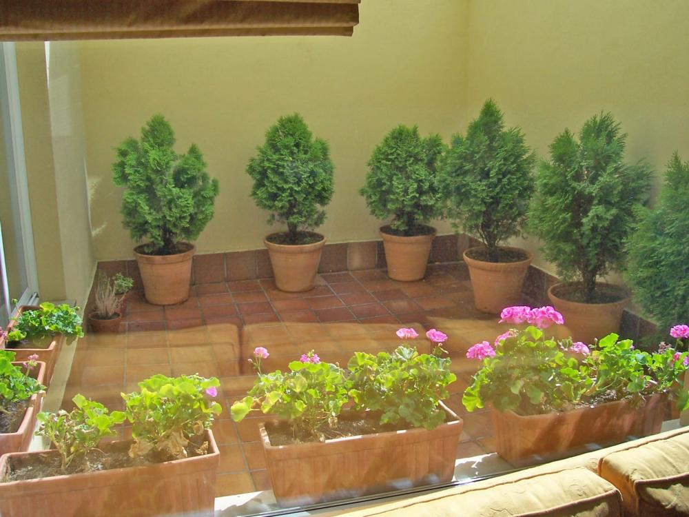  à vendre maison Salamanca Centro 37001 Campo De Salamanca 25