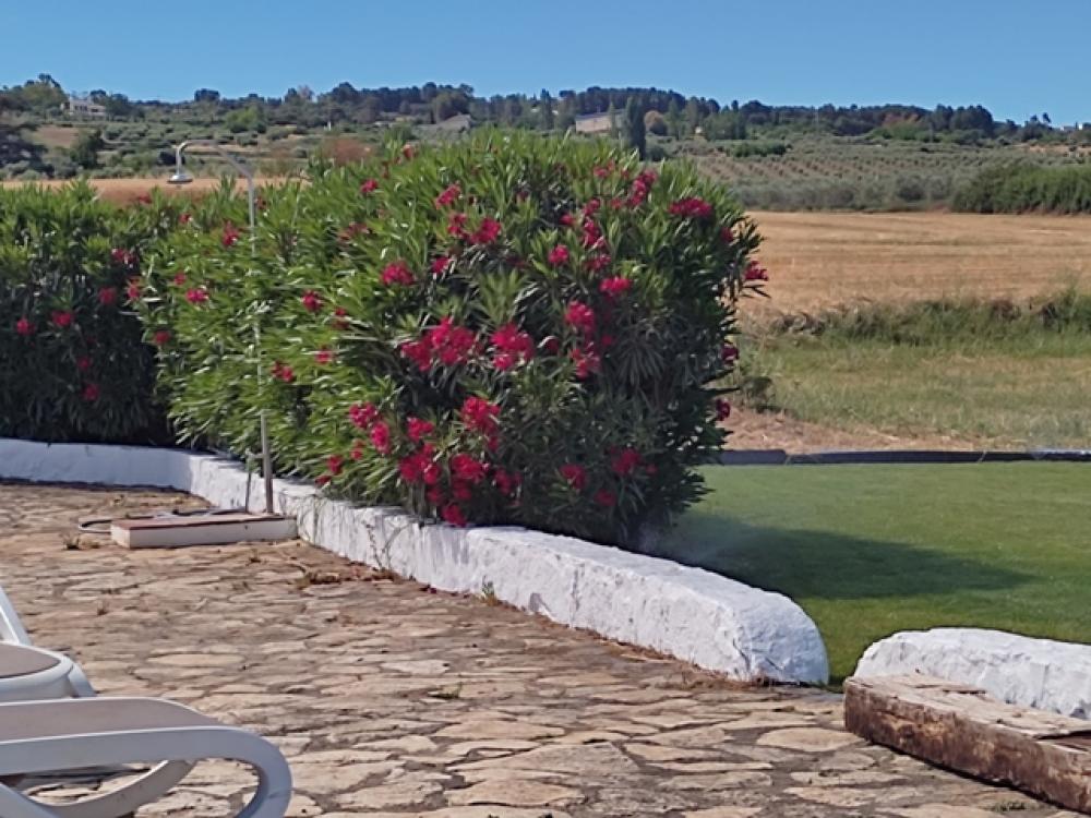  à vendre hôtel Ronda Serranía De Ronda 33