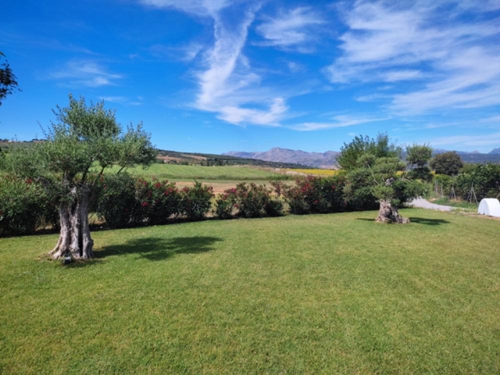  à vendre hôtel Ronda Serranía De Ronda 37