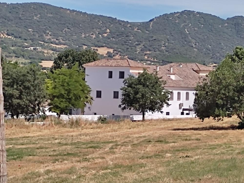  à vendre hôtel Ronda Serranía De Ronda 29