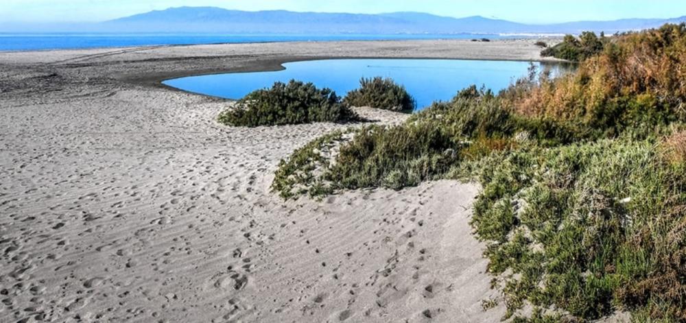  à vendre terrain Cabo De Gata Comarca Metropolitana De Almería 10