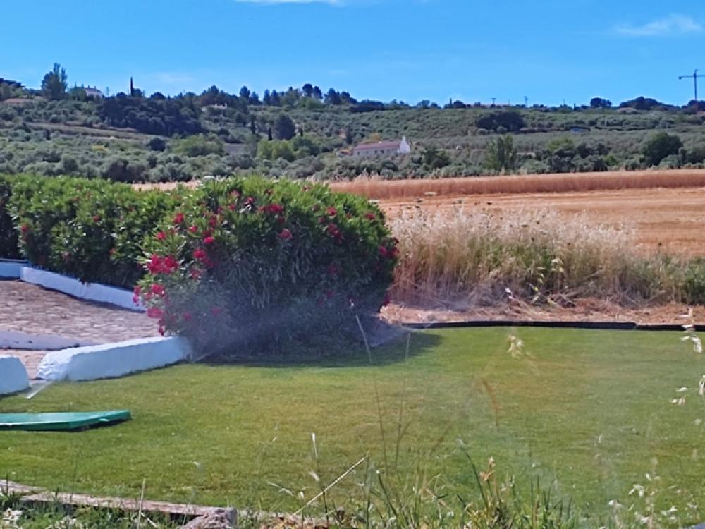  à vendre hôtel Ronda Serranía De Ronda 34