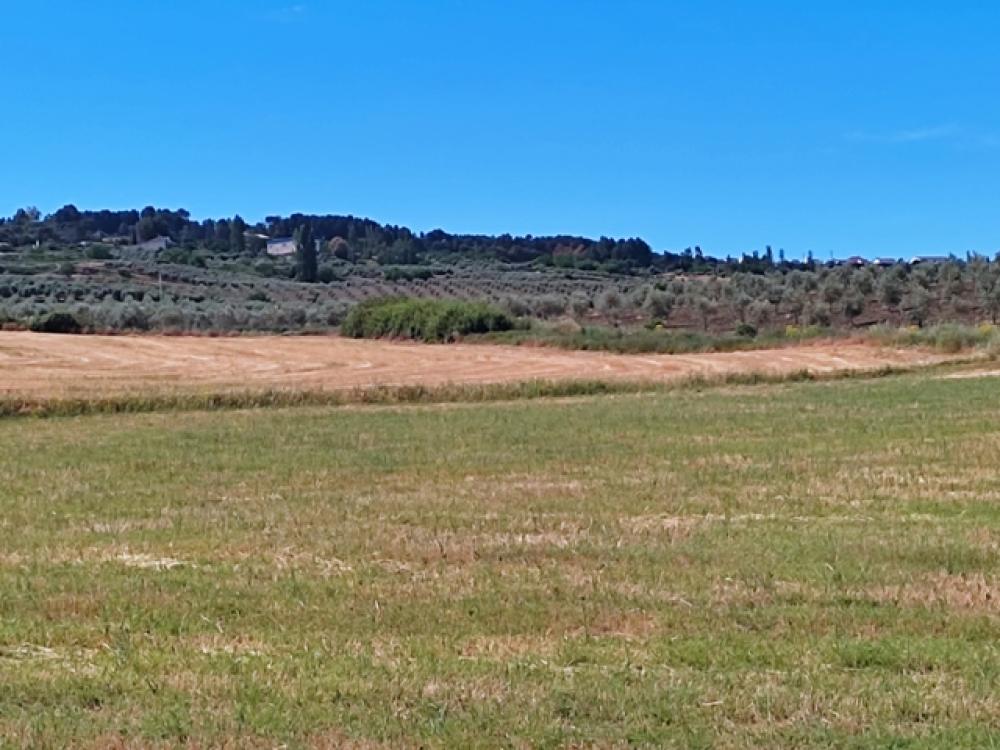  à vendre hôtel Ronda Serranía De Ronda 35