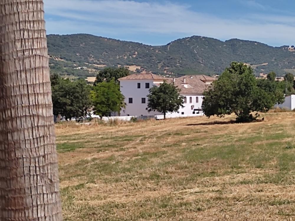  à vendre hôtel Ronda Serranía De Ronda 32