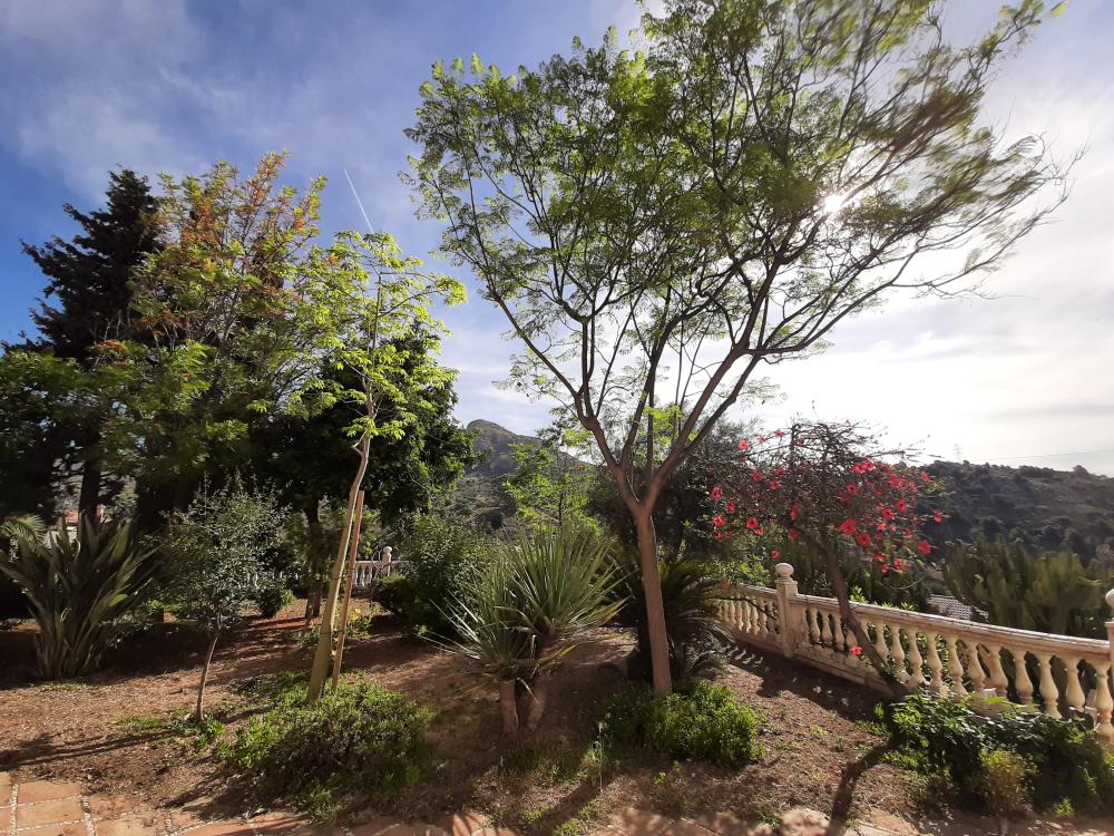  à vendre maison Málaga Este 29018 Málaga-Costa Del Sol 1