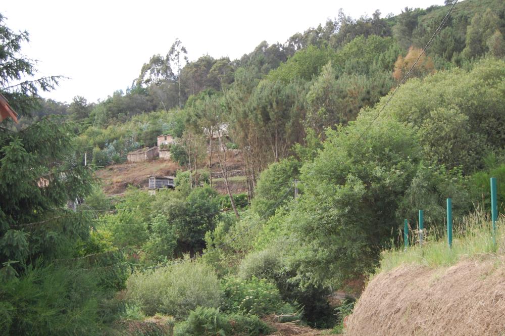  à vendre maison de campagne Pena Betanzos 3