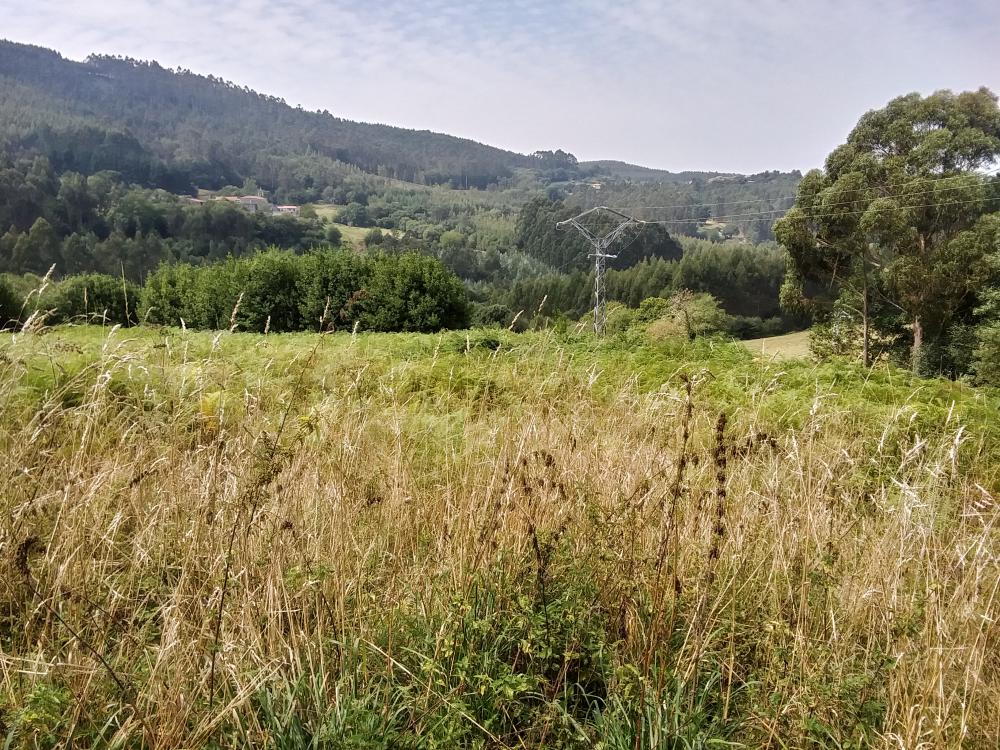  à vendre maison de campagne Pena Betanzos 62