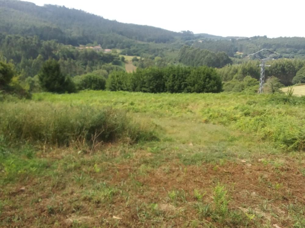  à vendre maison de campagne Pena Betanzos 61