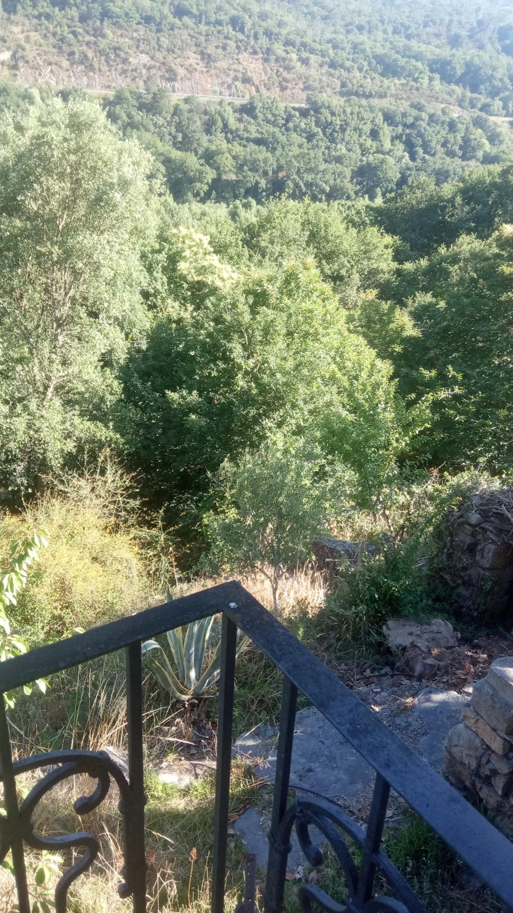  à vendre maison Untes Orense 11