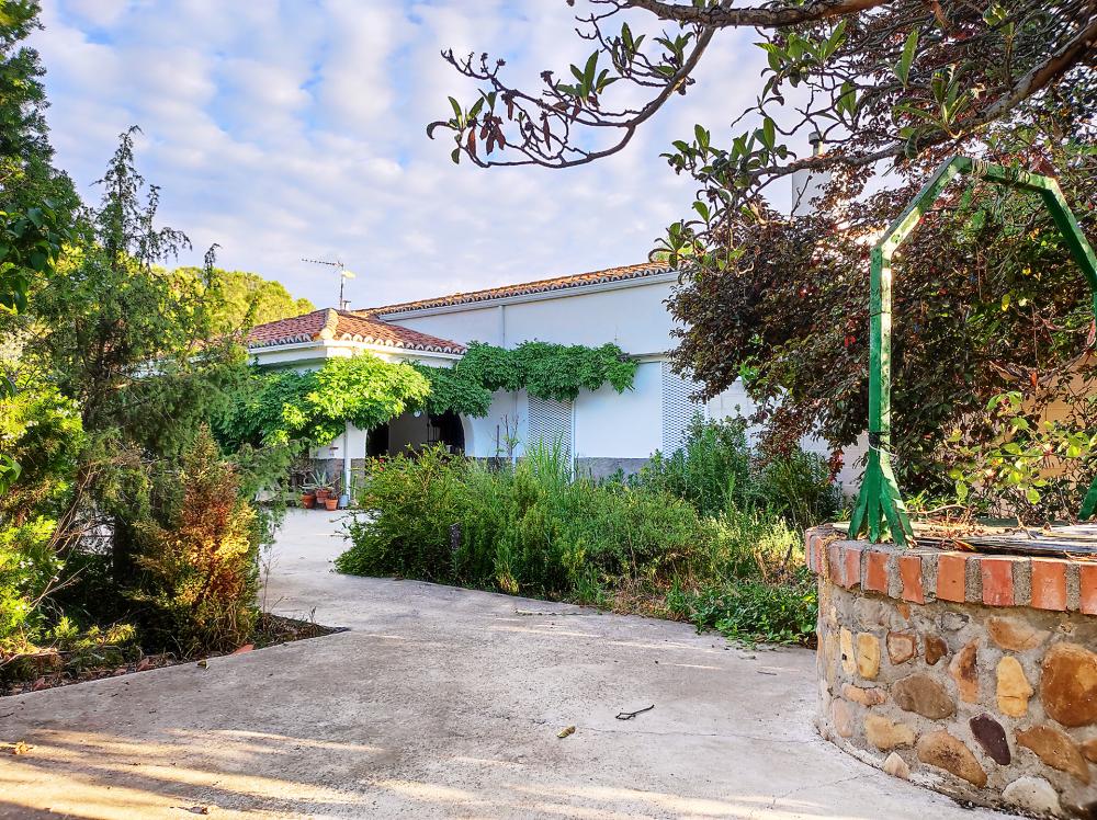  à vendre maison Valdetorres De Jarama Cuenca Del Medio Jarama 17