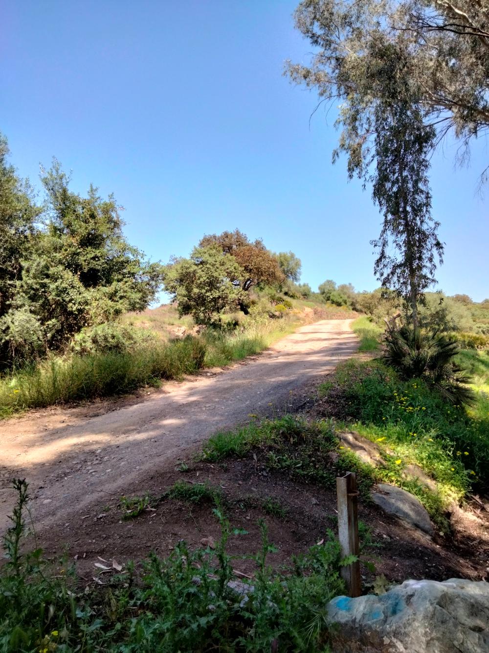  à vendre local commercial Villanueva Del Río Y Minas Vega Del Guadalquivir 14