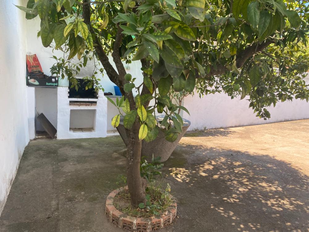 à vendre maison El Pedroso Sierra Norte 41