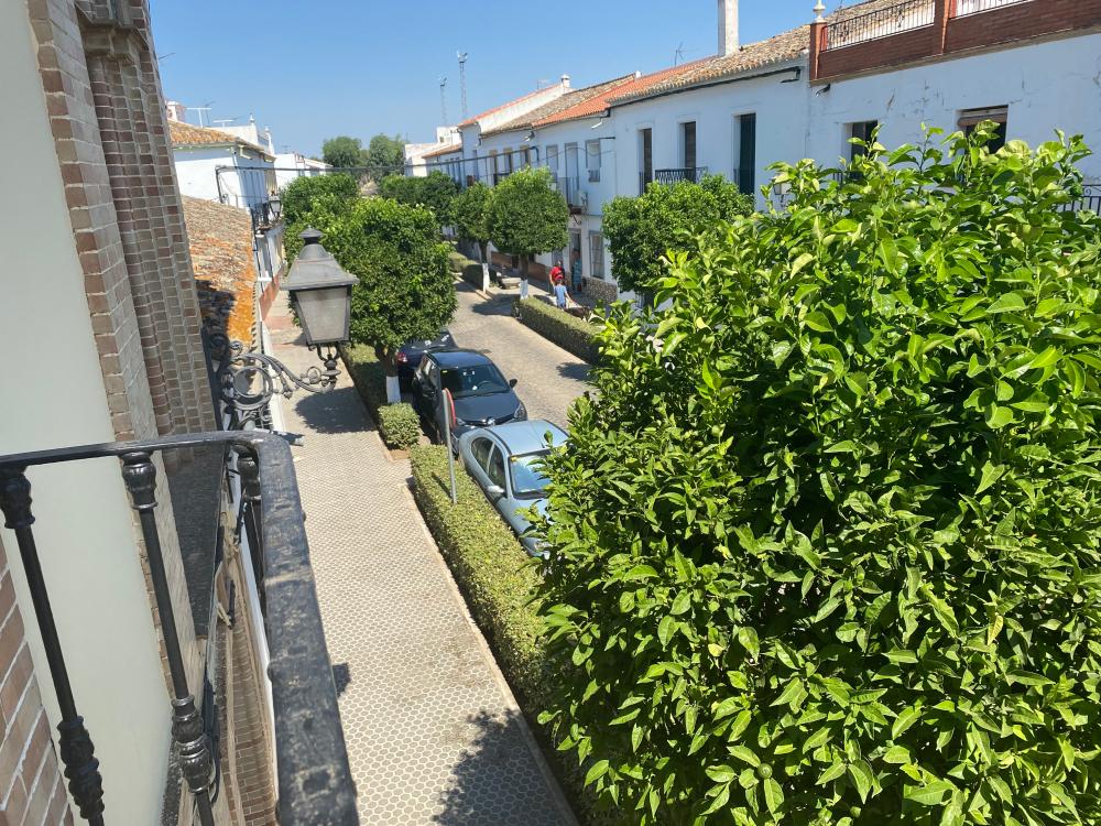  à vendre maison El Pedroso Sierra Norte 25