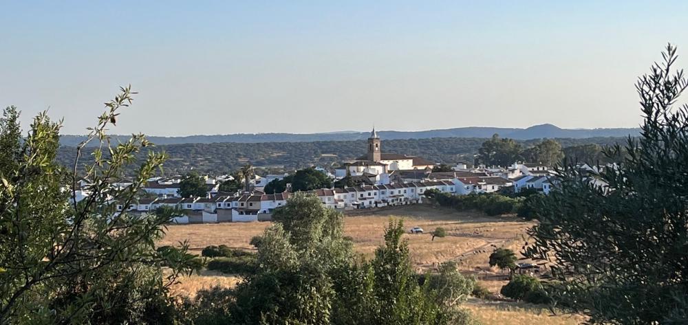  à vendre maison El Pedroso Sierra Norte 49