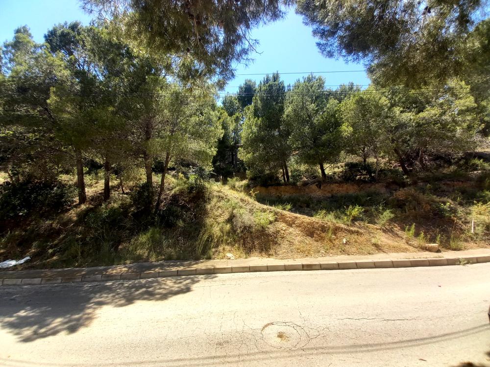  à vendre terrain Sierra De Altea Marina Baixa 6