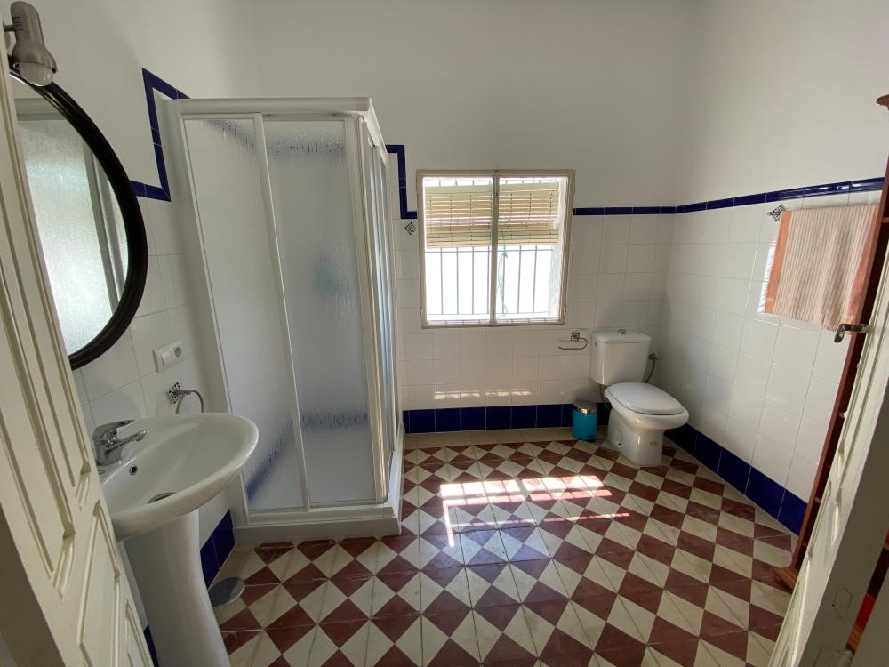  à vendre maison El Pedroso Sierra Norte 30