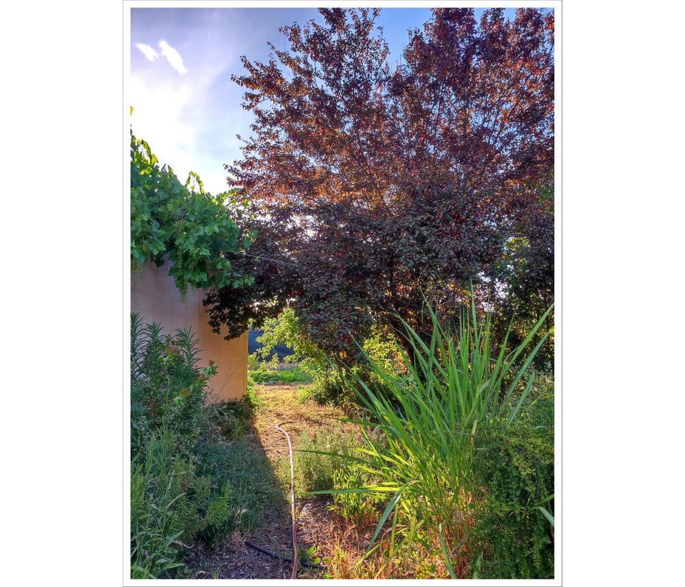  à vendre maison Valdetorres De Jarama Cuenca Del Medio Jarama 18