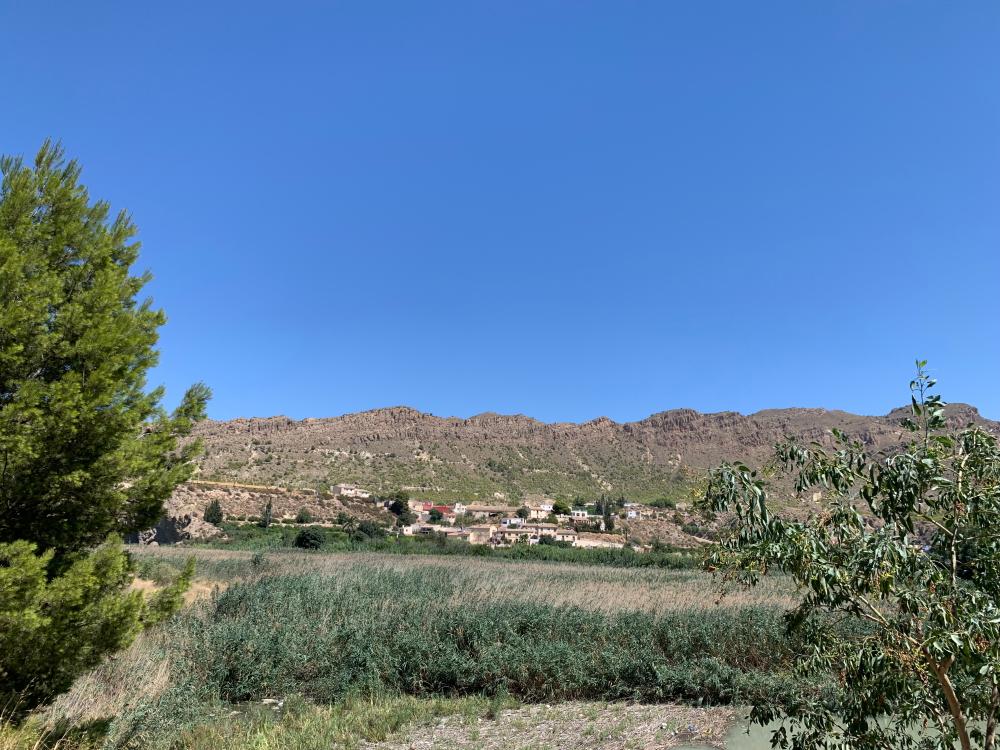  à vendre maison de campagne Blanca Vega Alta Del Segura 12
