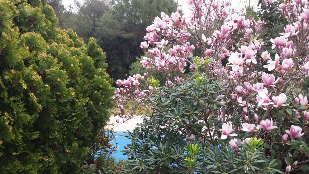  à vendre villa Santa Eulàlia De Ronçana Vallès Oriental 8
