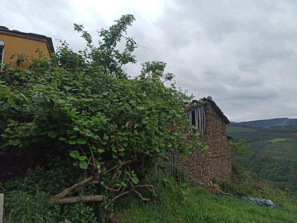  à vendre maison de campagne Conforto Mariña Oriental 36