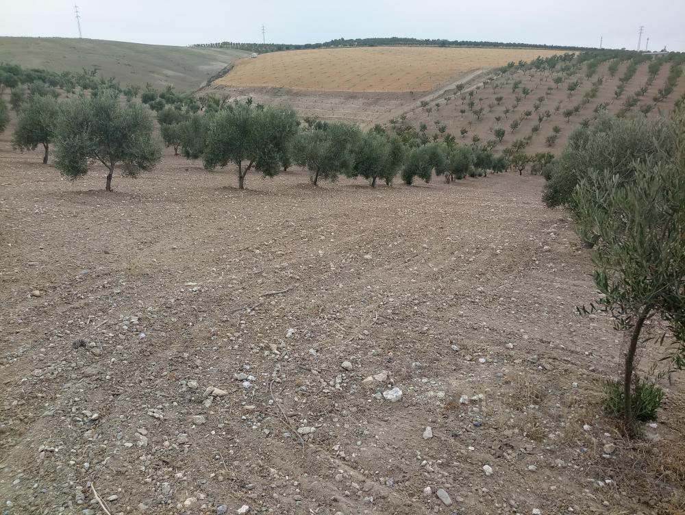  à vendre maison de campagne Gabia Grande Vega De Granada 4