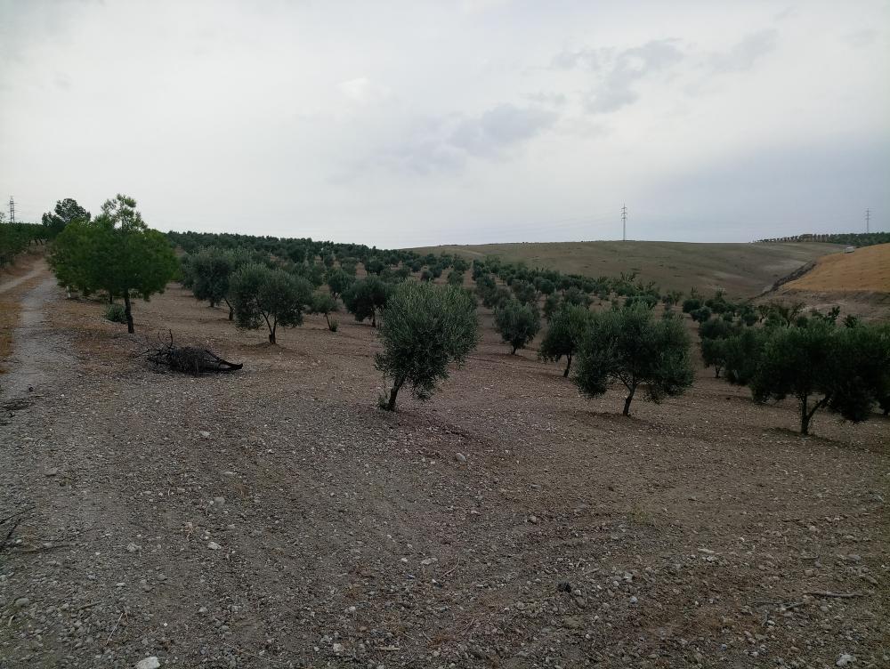  à vendre maison de campagne Gabia Grande Vega De Granada 5