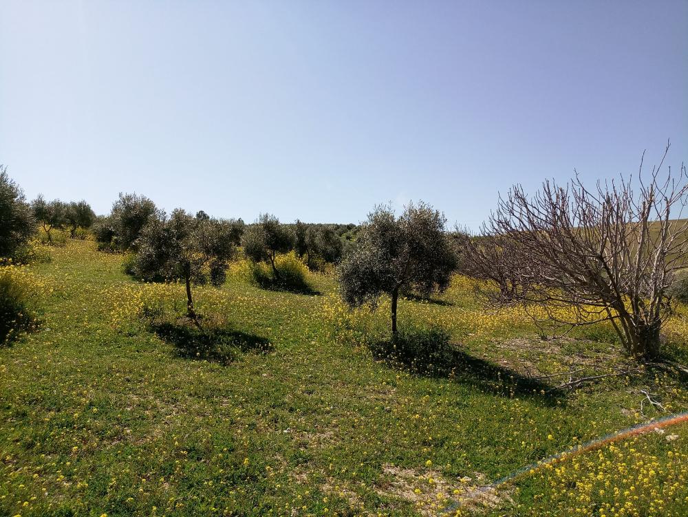  à vendre maison de campagne Gabia Grande Vega De Granada 9