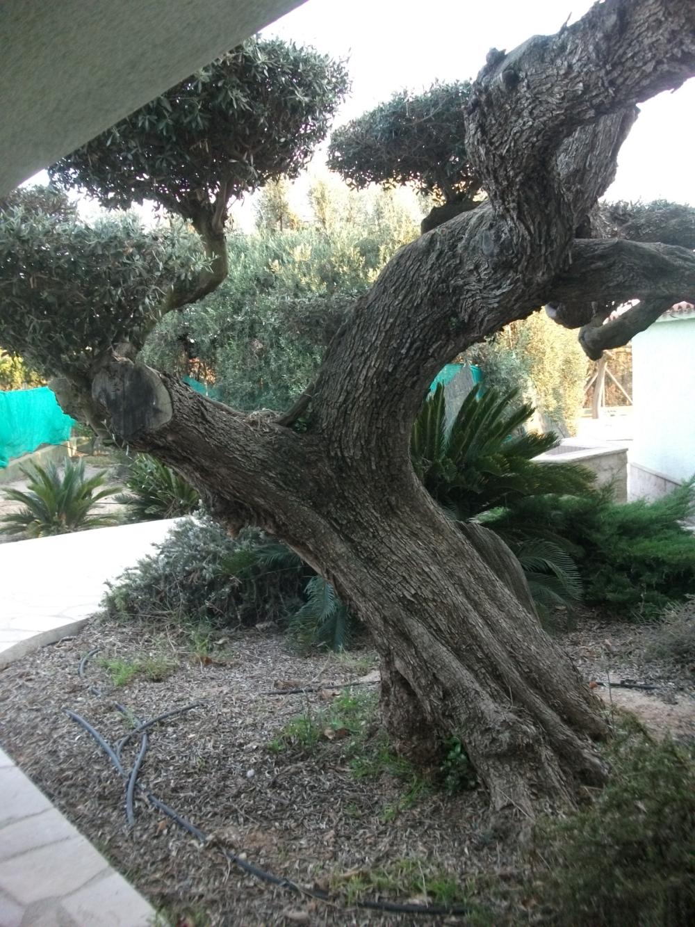  à vendre maison de campagne Camarles Baix Ebre 12