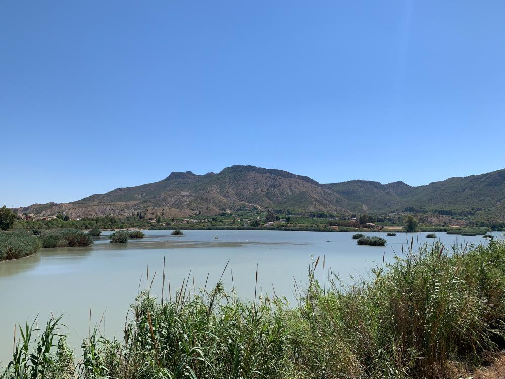  à vendre maison de campagne Blanca Vega Alta Del Segura 10