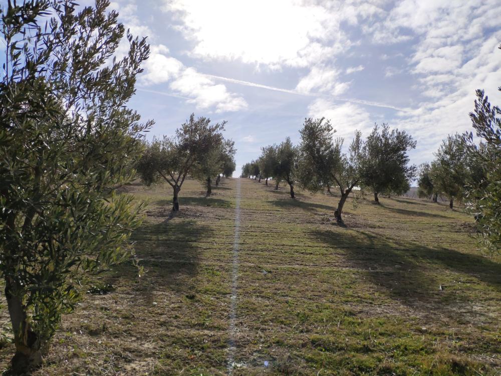  à vendre maison de campagne Gabia Grande Vega De Granada 6