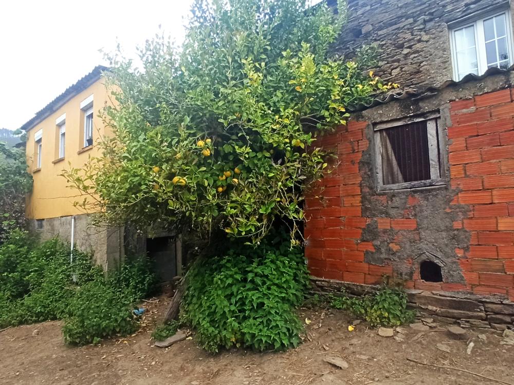  à vendre maison de campagne Conforto Mariña Oriental 30