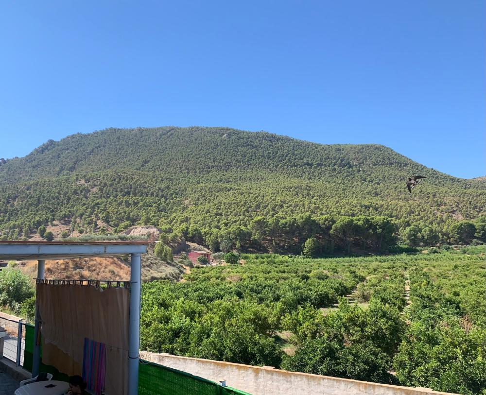  à vendre maison de campagne Blanca Vega Alta Del Segura 5