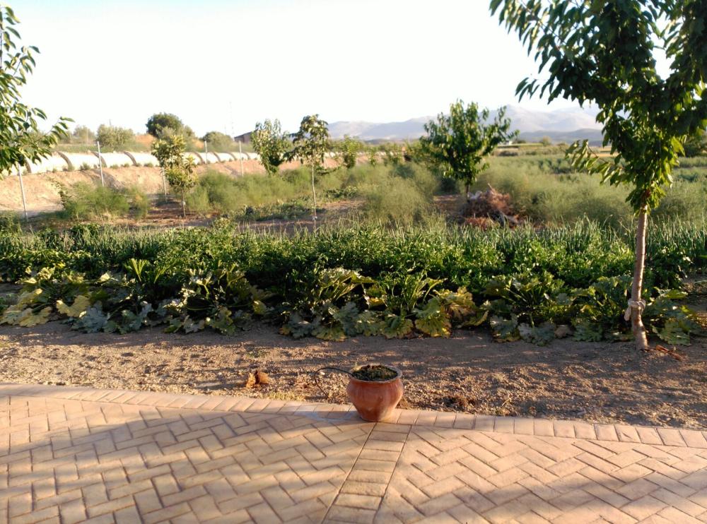  à vendre maison Huétor-Tájar Loja 11