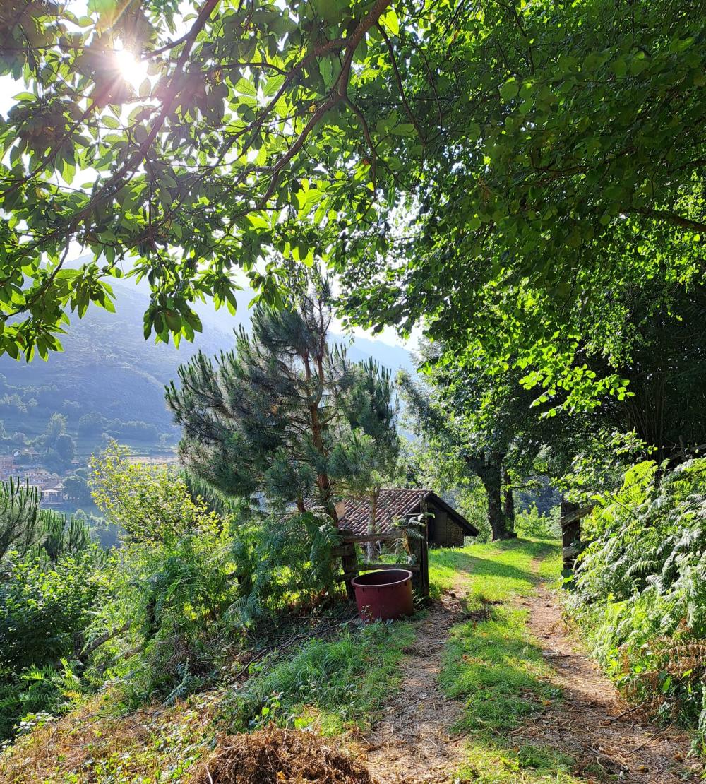  à vendre maison de campagne Campo De Caso Nalón 4