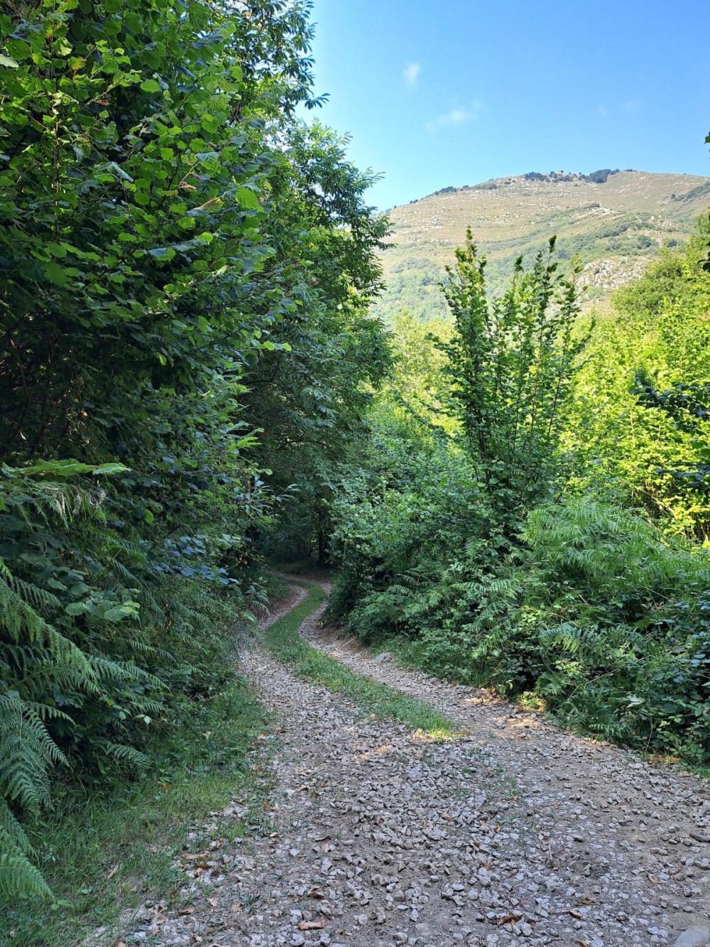  à vendre maison de campagne Campo De Caso Nalón 19