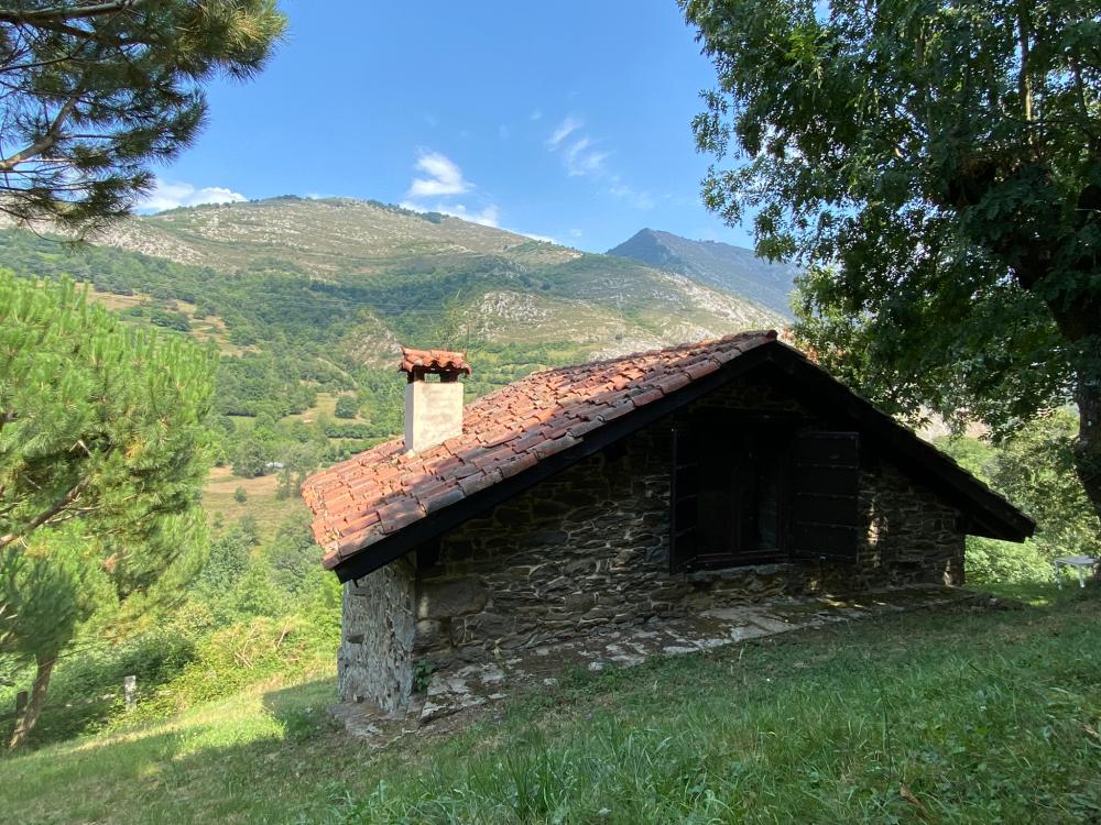  à vendre maison de campagne Campo De Caso Nalón 80