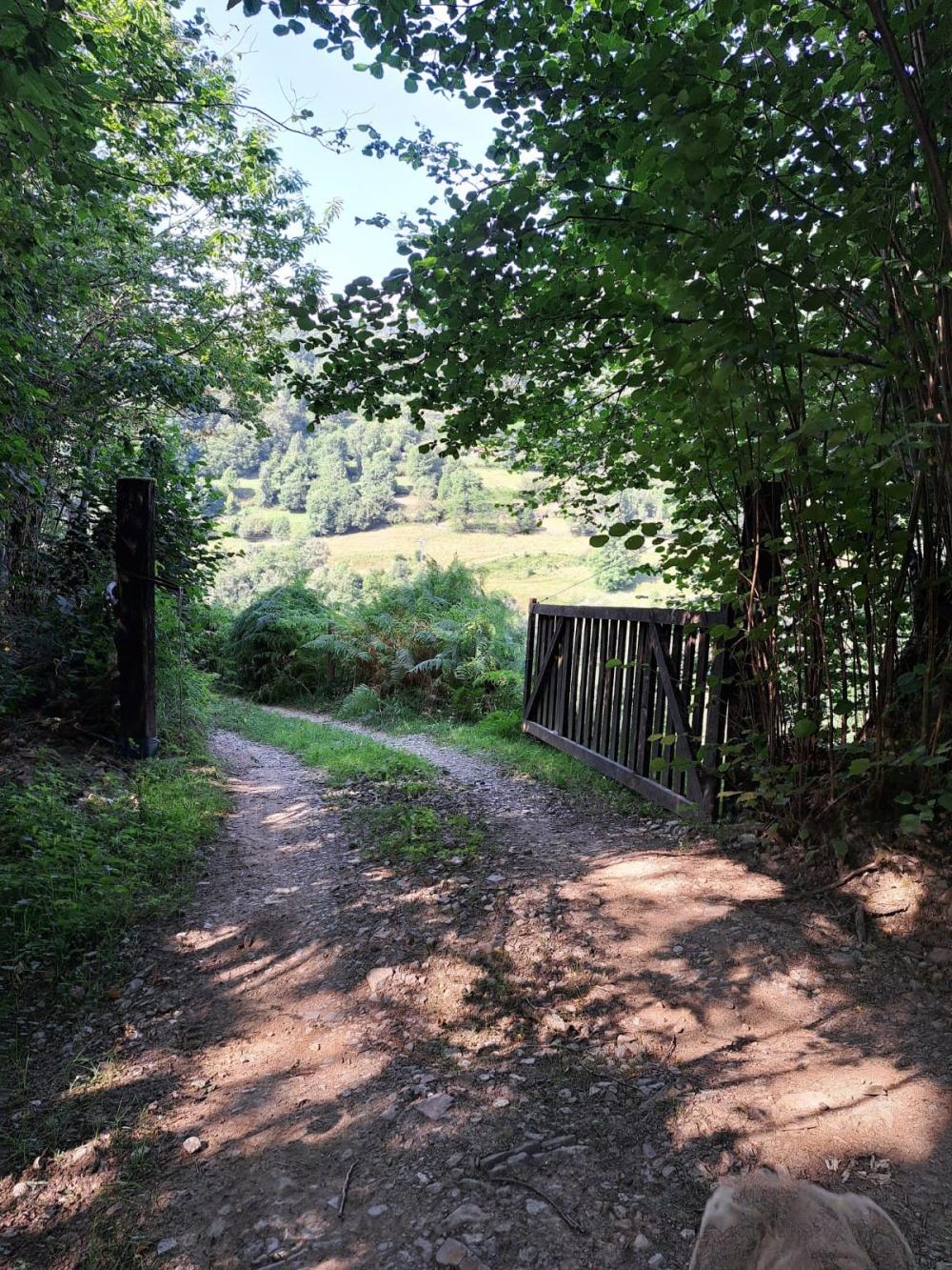  à vendre maison de campagne Campo De Caso Nalón 26