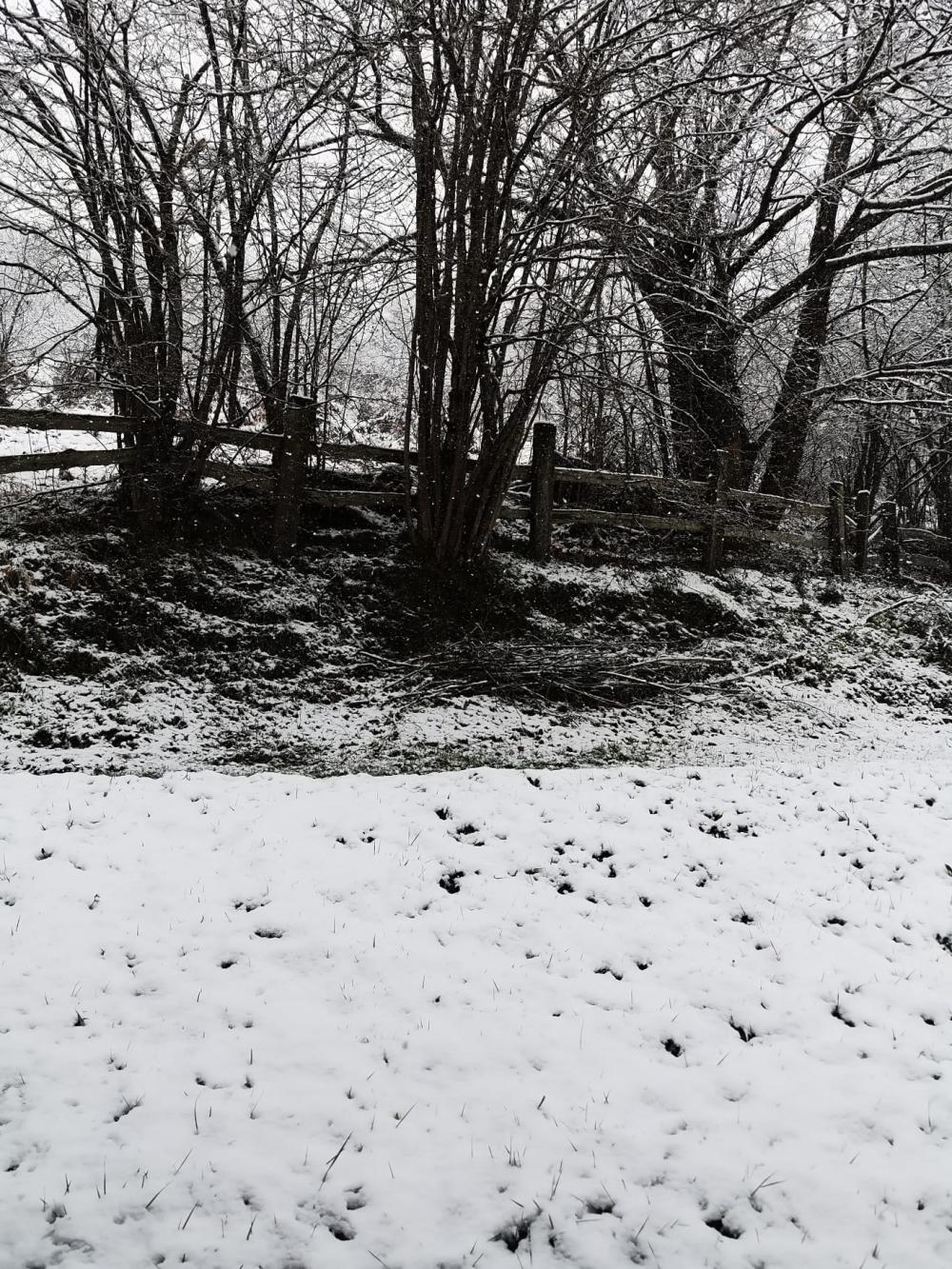  à vendre maison de campagne Campo De Caso Nalón 6