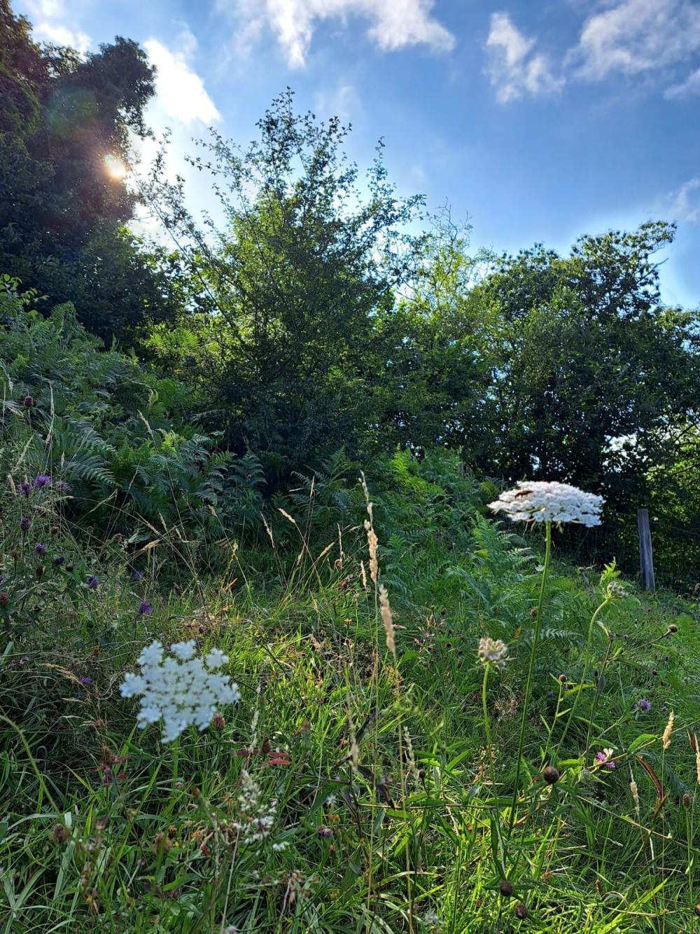  à vendre maison de campagne Campo De Caso Nalón 37