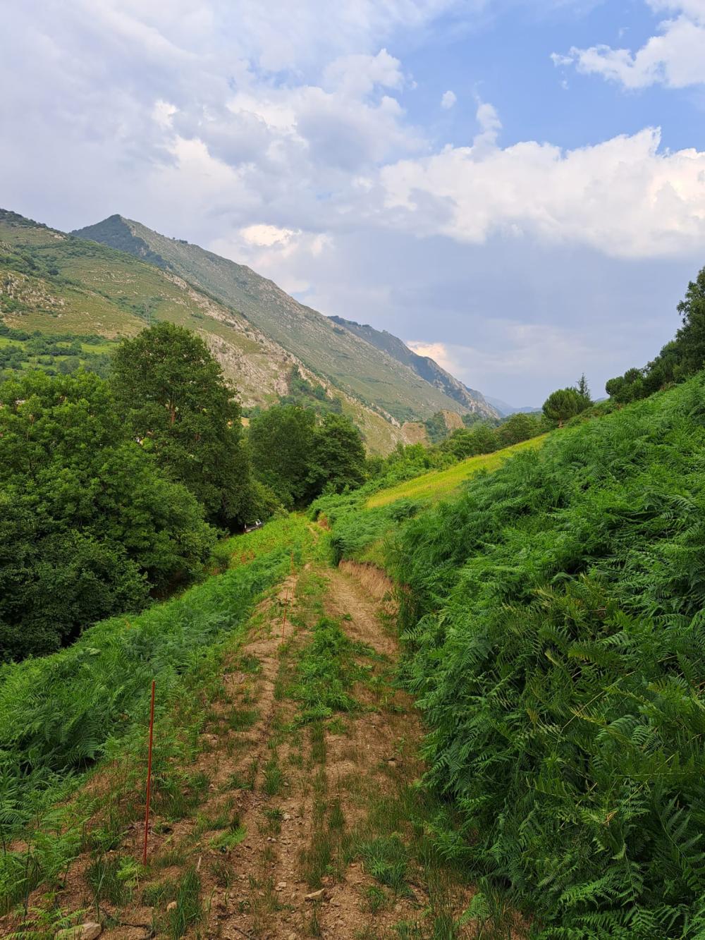  à vendre maison de campagne Campo De Caso Nalón 13