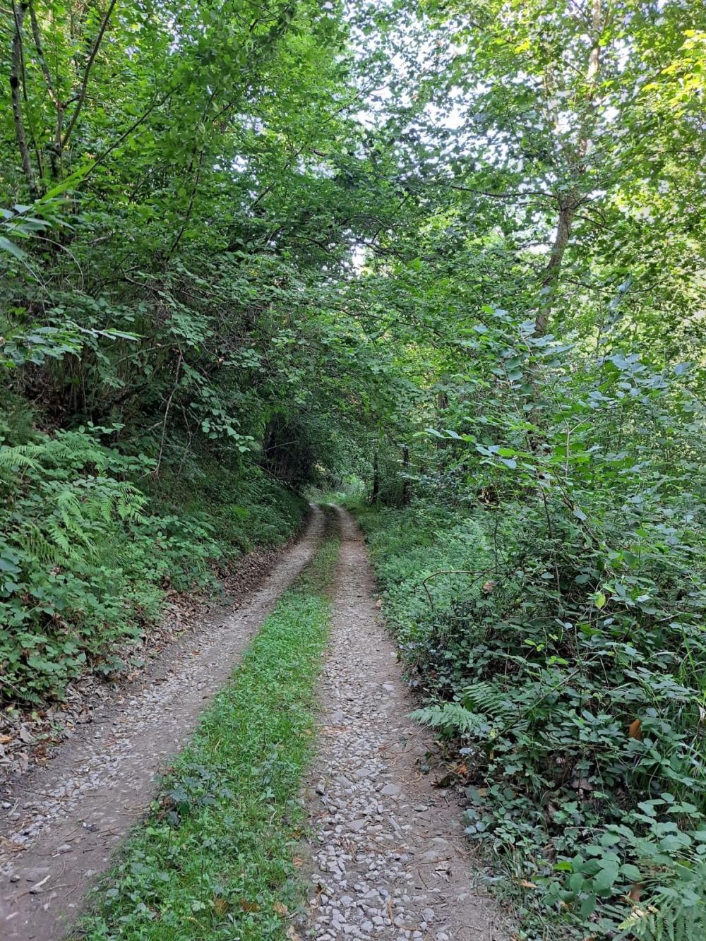  à vendre maison de campagne Campo De Caso Nalón 22